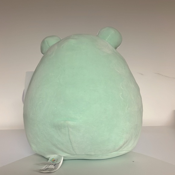 Fritz the frog squishmallow sensory plushie stuffie plush toy - Picture 3 of 5